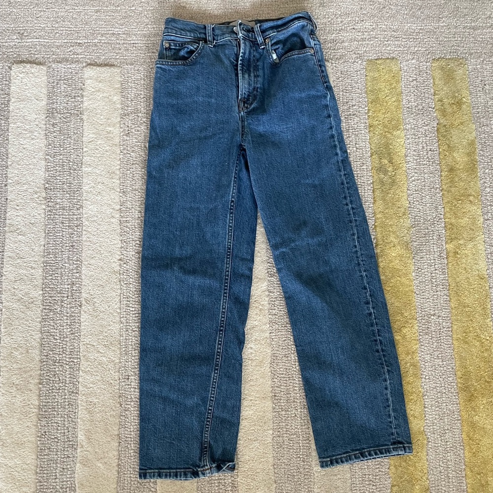 Everlane The Way High Jean 24 Regular